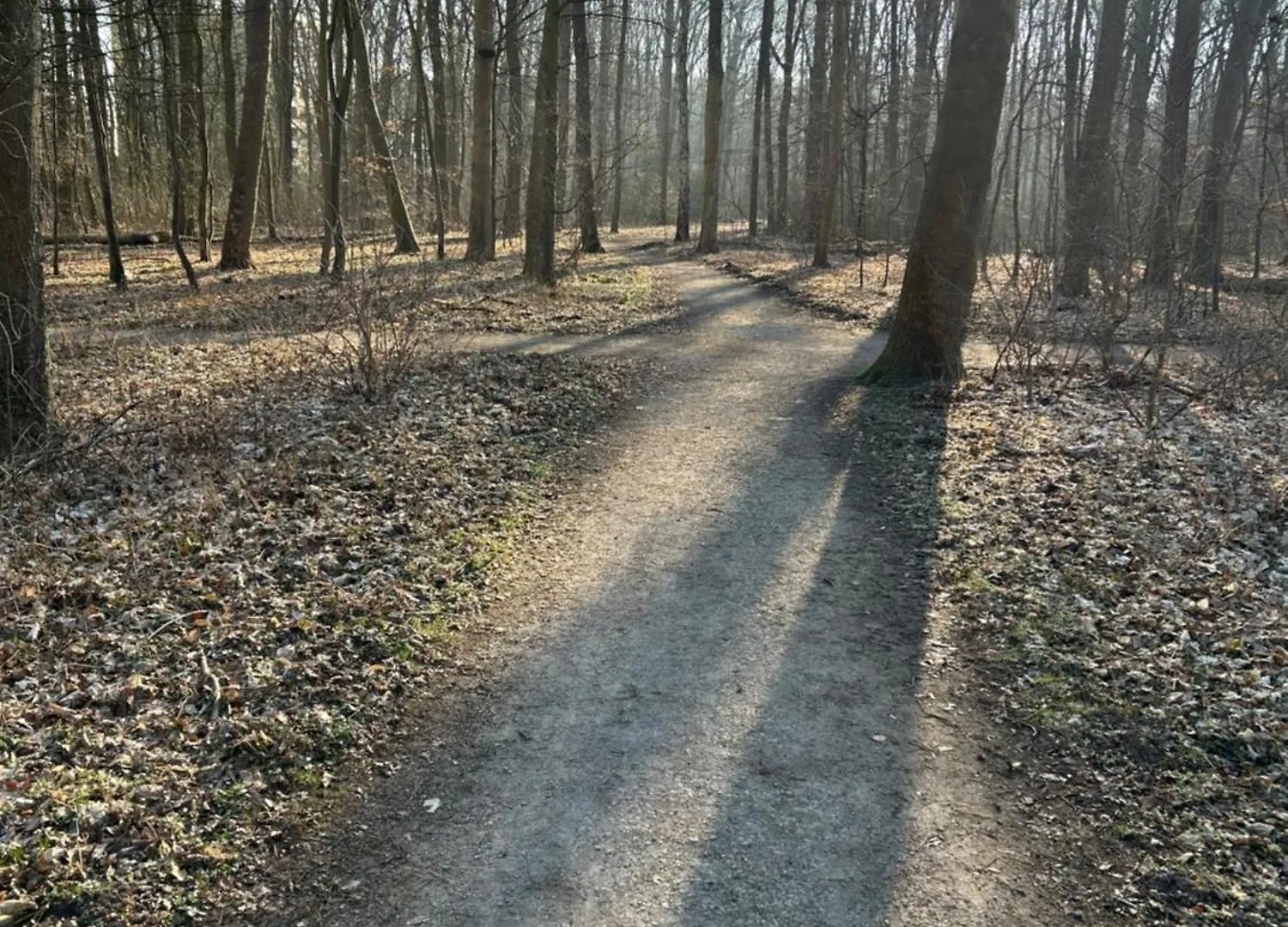 Homestay szállás Privatzimmer Am Vw Werk Hannover Németország